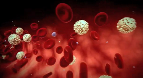 Blood and its components and amazing facts
